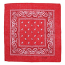 Paisley Print Bandana
