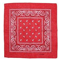 Paisley Print Bandana