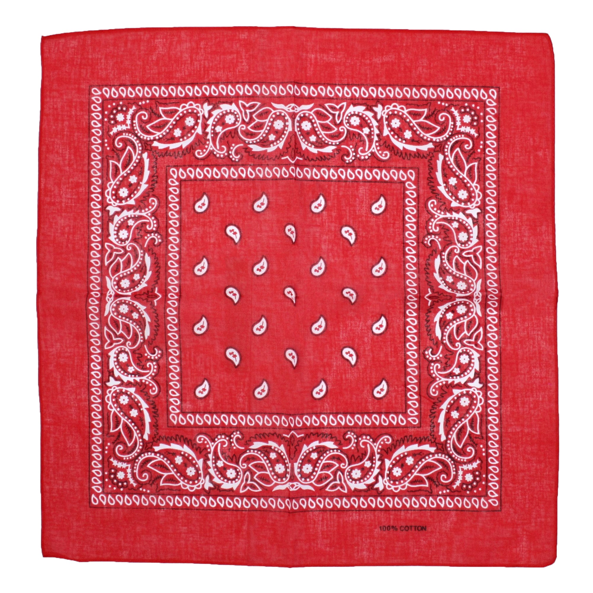 Paisley Print Bandana