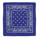 Paisley Print Bandana
