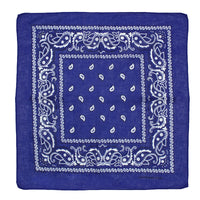 Paisley Print Bandana