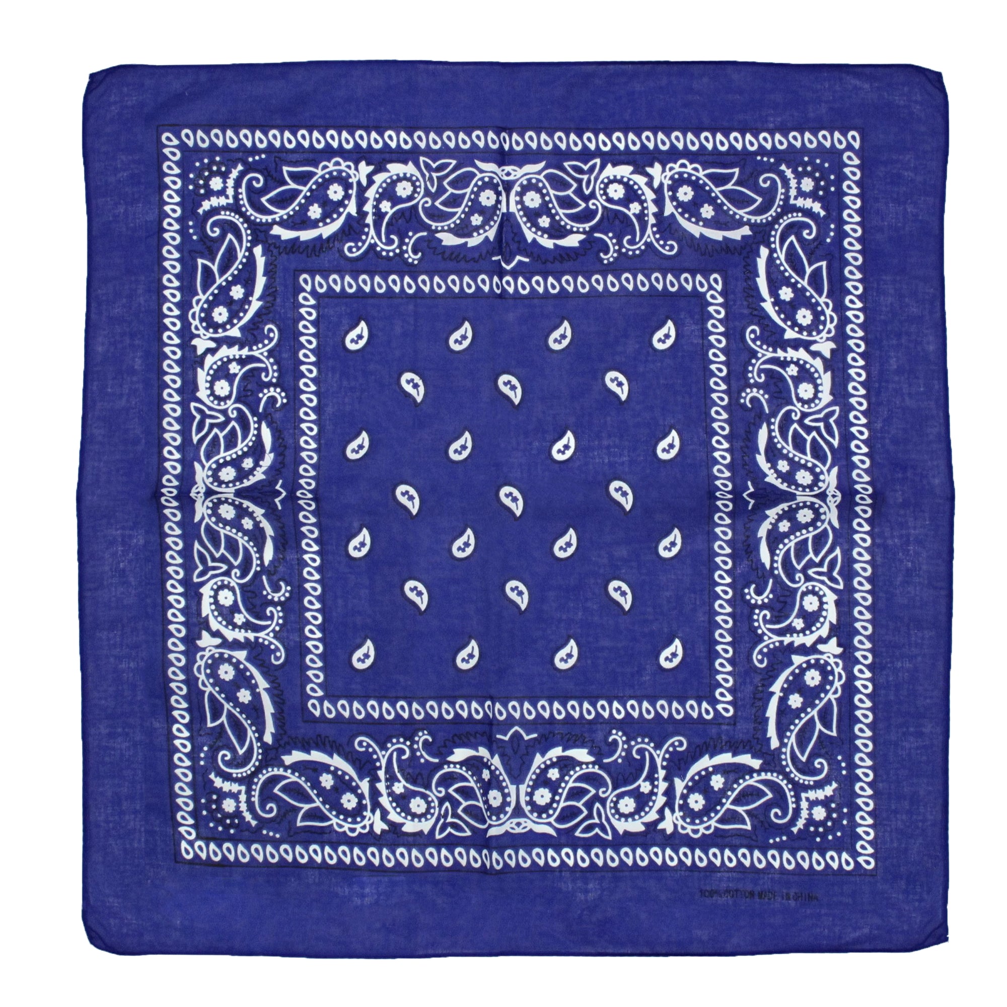 Paisley Print Bandana