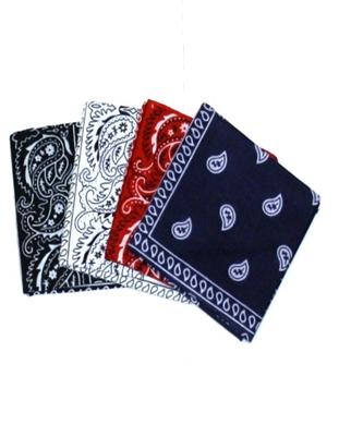 Assorted Paisley Bandanas