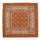 Paisley Print Bandana