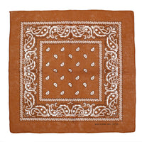 Paisley Print Bandana