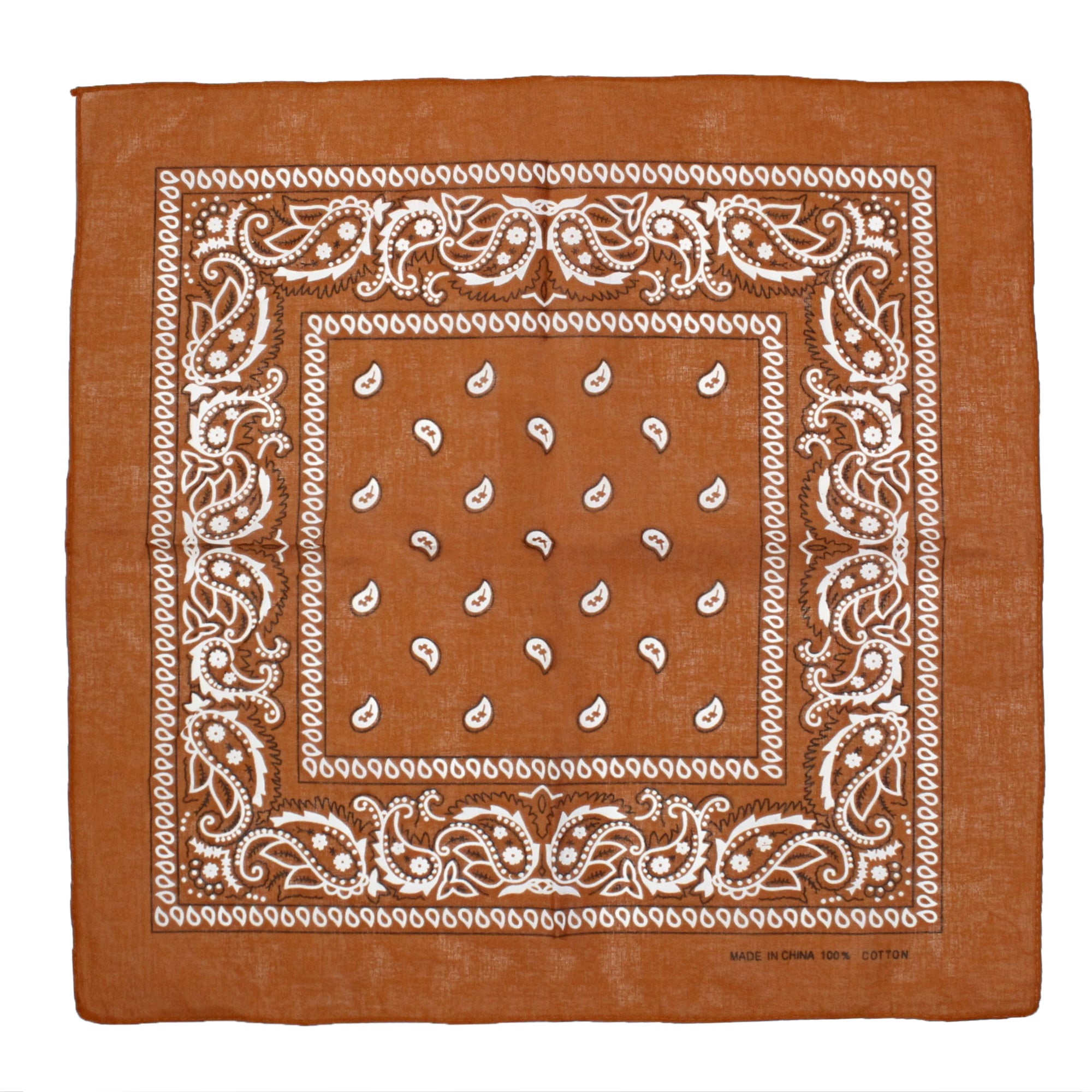 Paisley Print Bandana