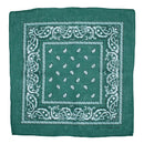 Paisley Print Bandana