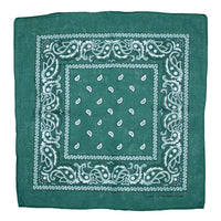 Paisley Print Bandana