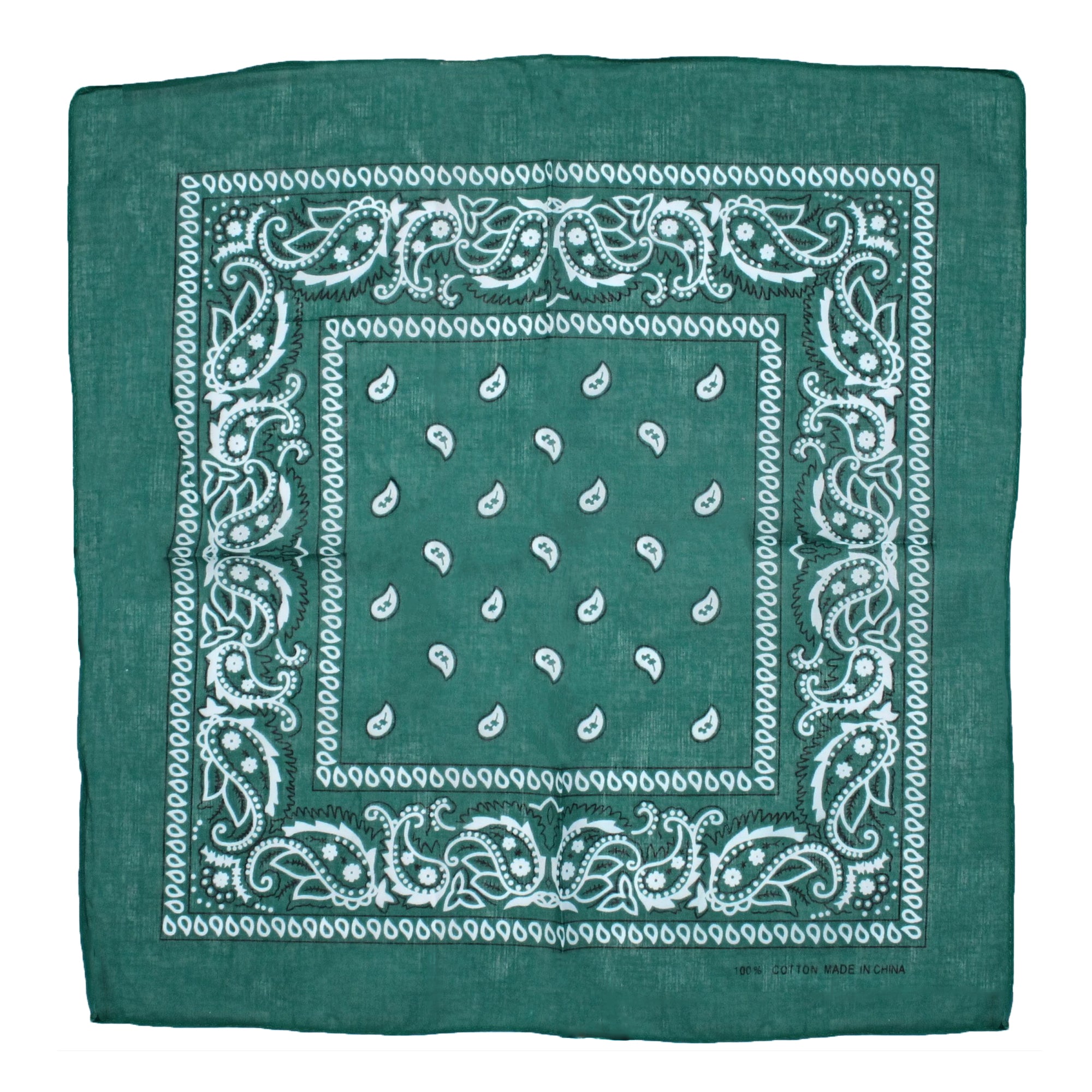 Paisley Print Bandana