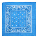 Paisley Print Bandana