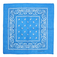 Paisley Print Bandana
