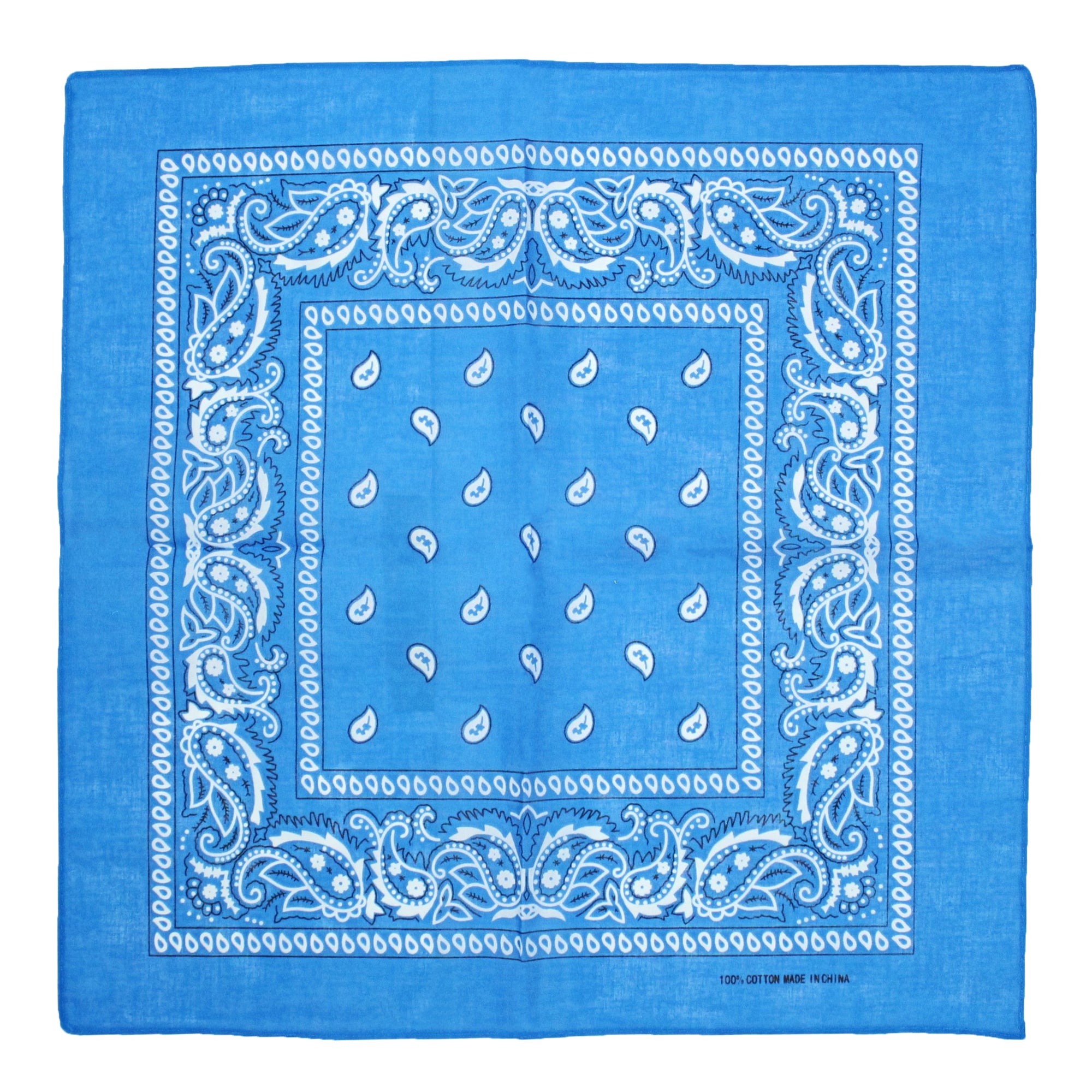 Paisley Print Bandana