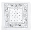 Paisley Print Bandana