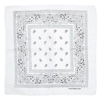 Paisley Print Bandana