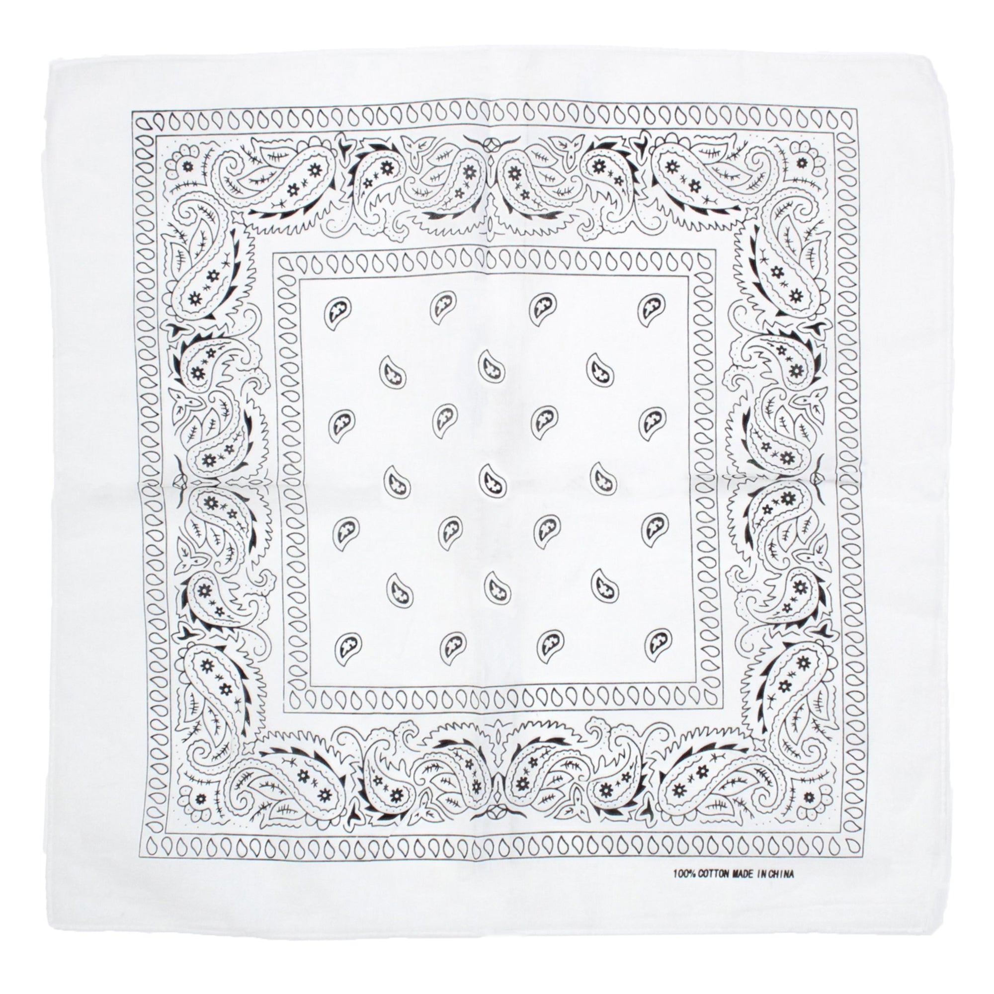 Paisley Print Bandana