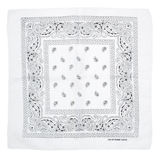 Paisley Print Bandana