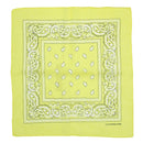 Paisley Print Bandana