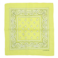 Paisley Print Bandana