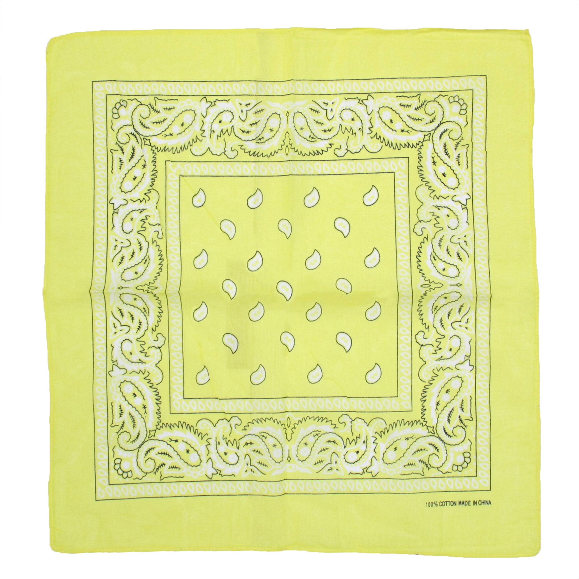 Paisley Print Bandana