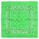 Paisley Print Bandana