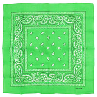 Paisley Print Bandana