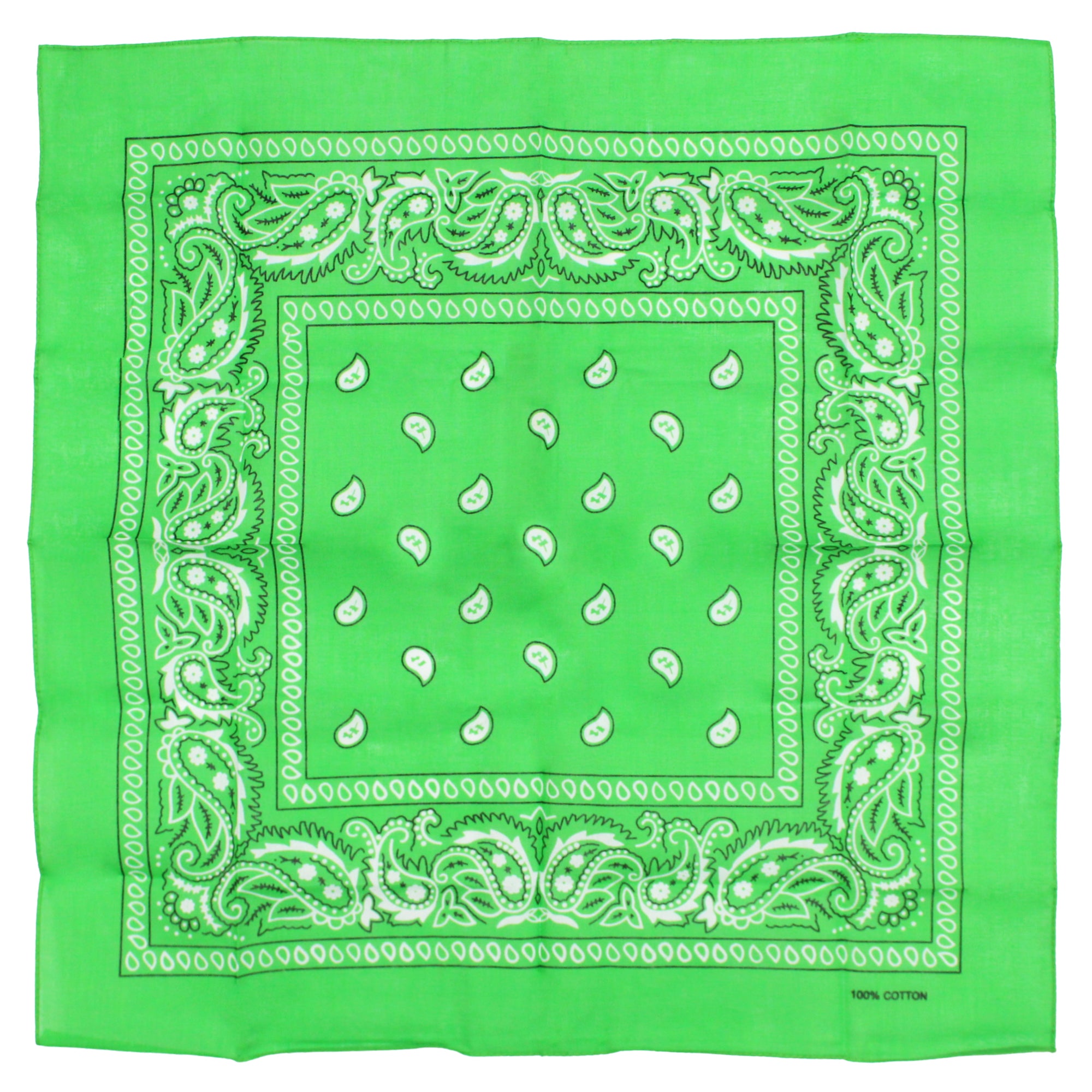 Paisley Print Bandana