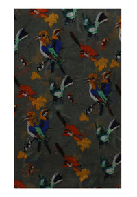 Multicolour Bird Printed Scarves