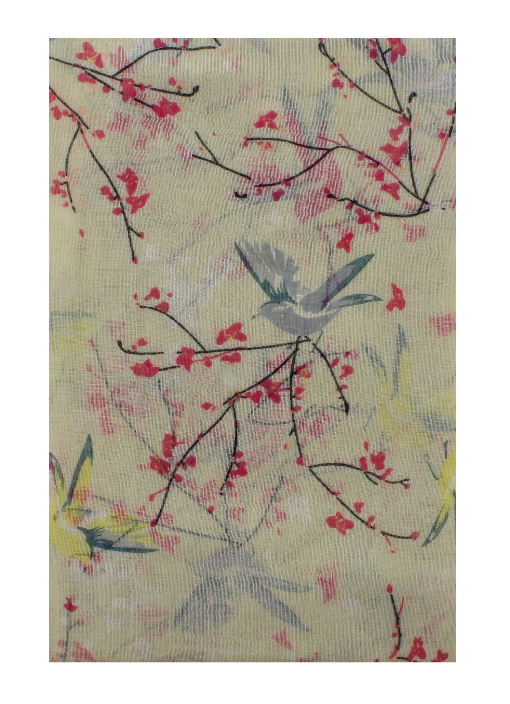 Robin & Branches Coloured Printed Scarves