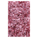 Sequin 3 in 1 Sash / Belt