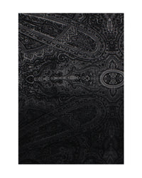 Detailed Paisley Printed Scarves