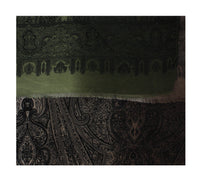 Detailed Paisley Printed Scarves