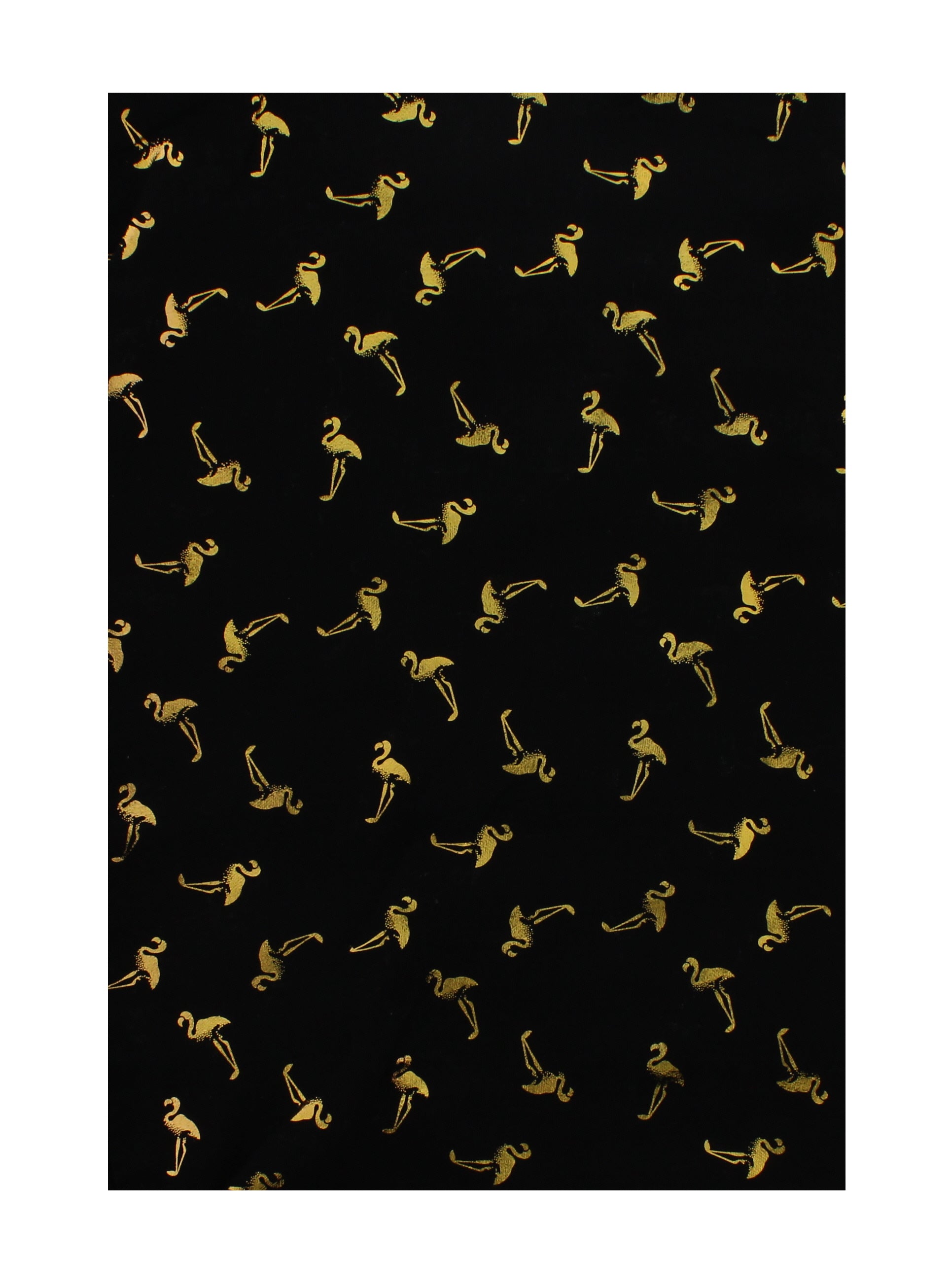 SCARF147BLK
