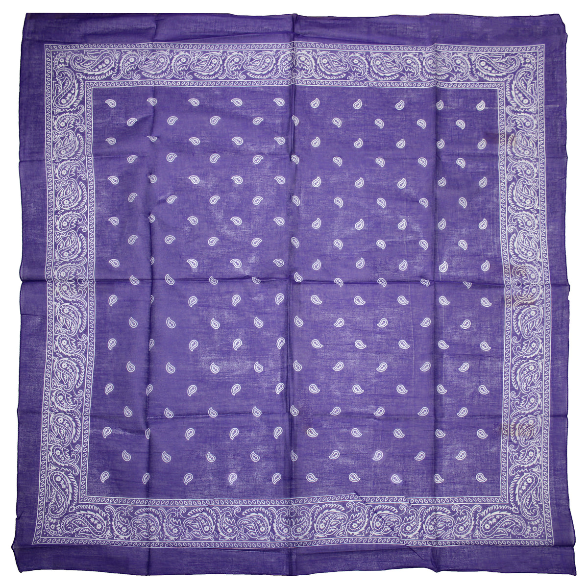 3 / Purple