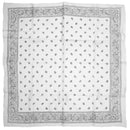 Meter x Meter Paisley Print Square Scarf