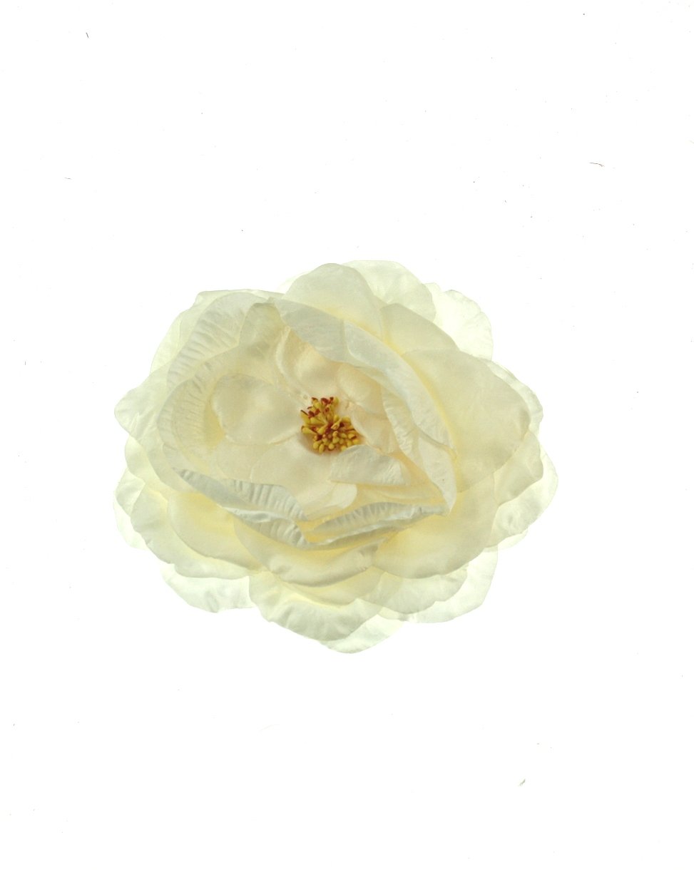 3 / Cream