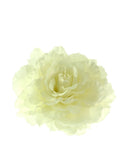 Large Flat Rose on Concord Clip & Brooch Hair Pin