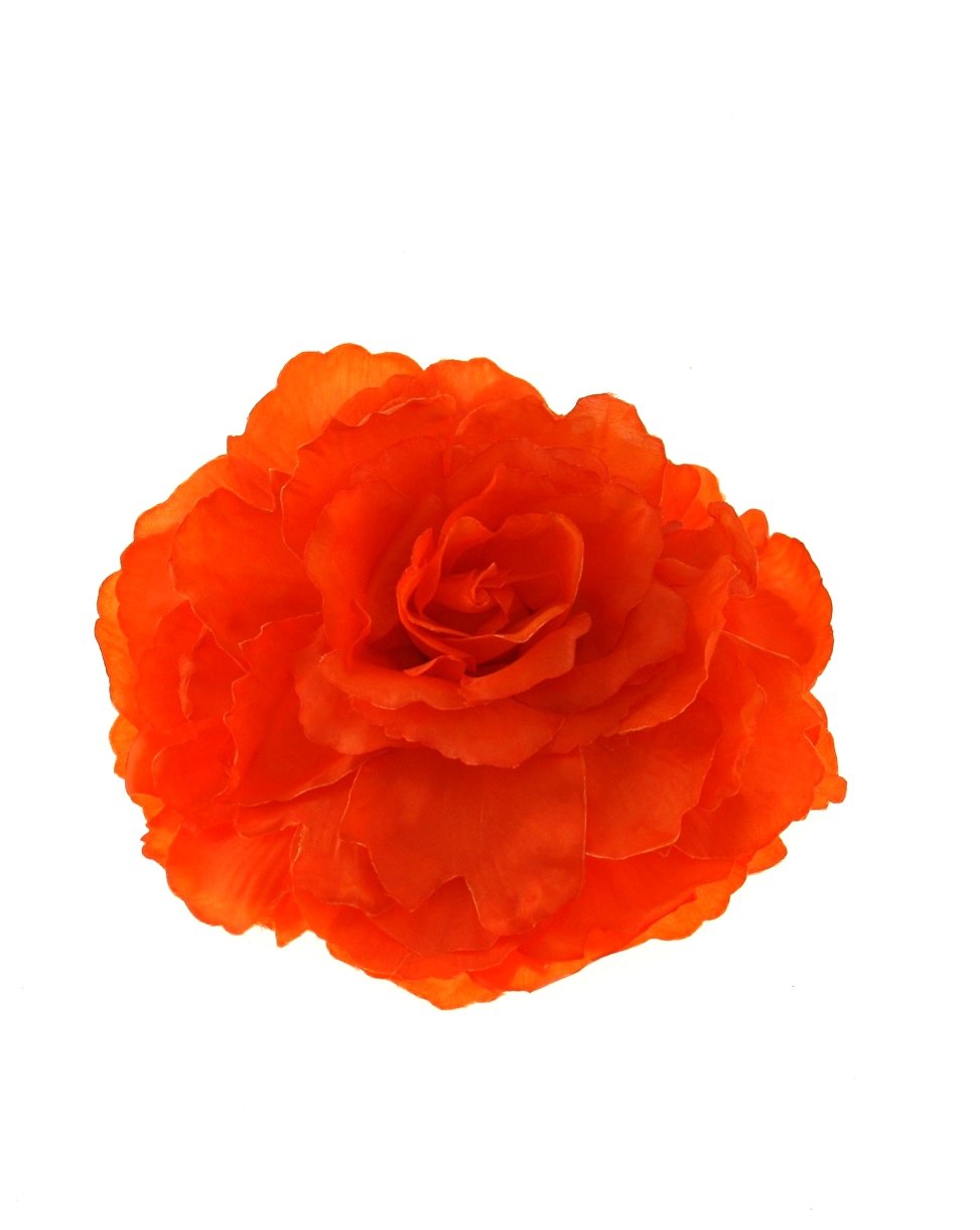 3 / Orange