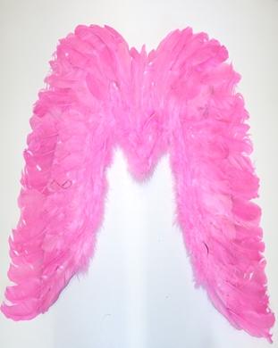 Large Feather Wings