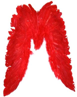Large Feather Wings