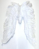 Large Feather Wings