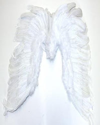 Large Feather Wings