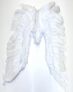 Large Feather Wings