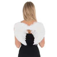 Small Feather Wings