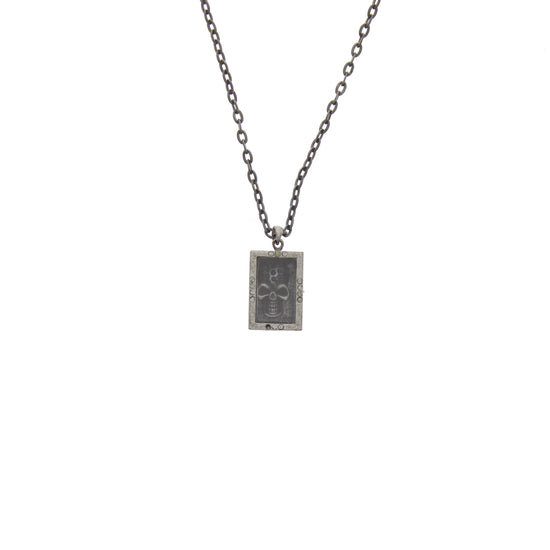 Skull in Box Necklace