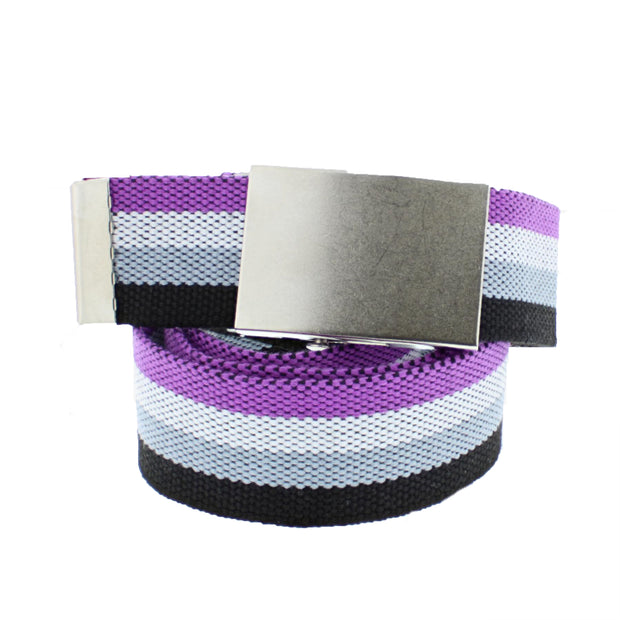 Asexual Canvas Webbing Belt with Shiny Silver Slider Buckle (Length - 120cm, Width - 3.7cm)