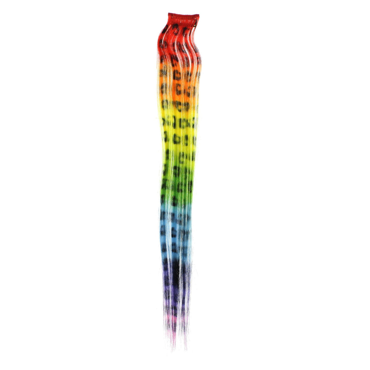 12 / Rainbow