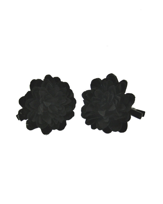 Pair of Flowers on Concord Hair Clip