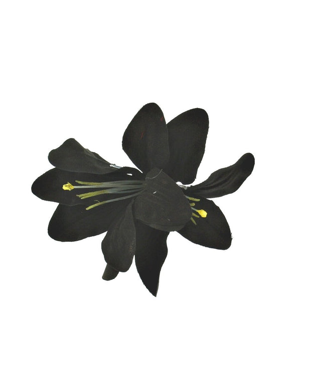 Lilies on Concord Clip & Brooch Pin