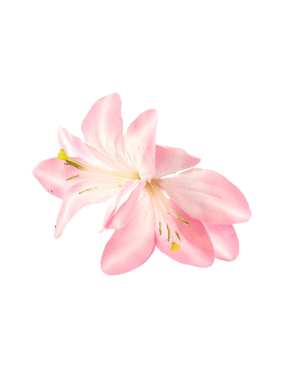 3 / Baby Pink