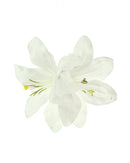 Lilies on Concord Clip & Brooch Hair Pin
